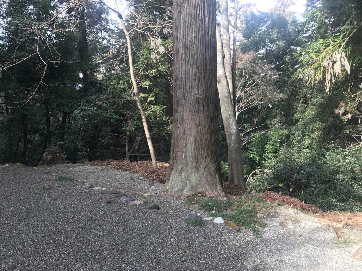 画像10