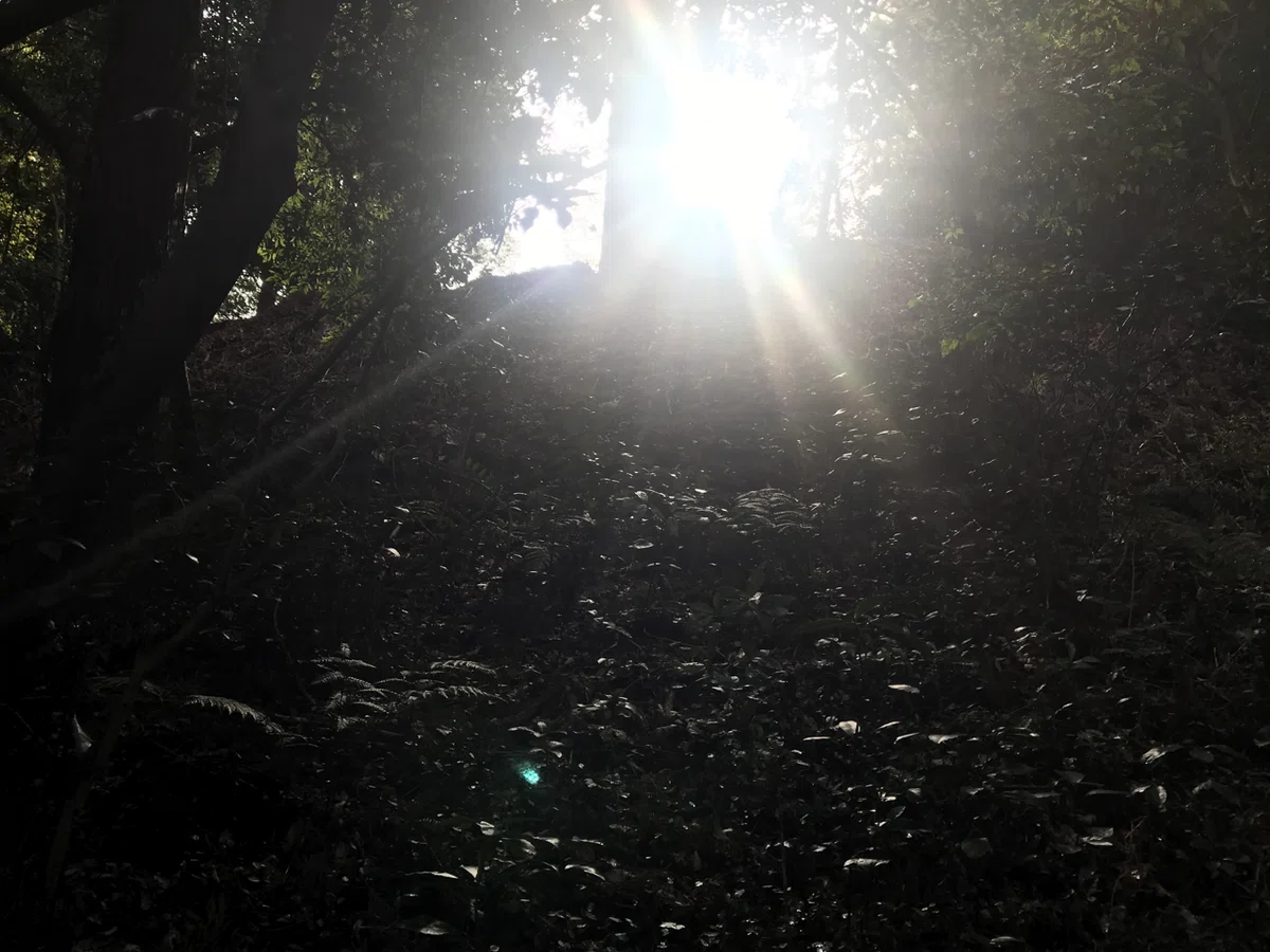画像12