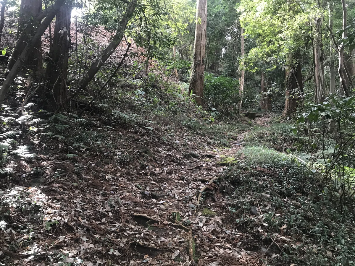 画像9