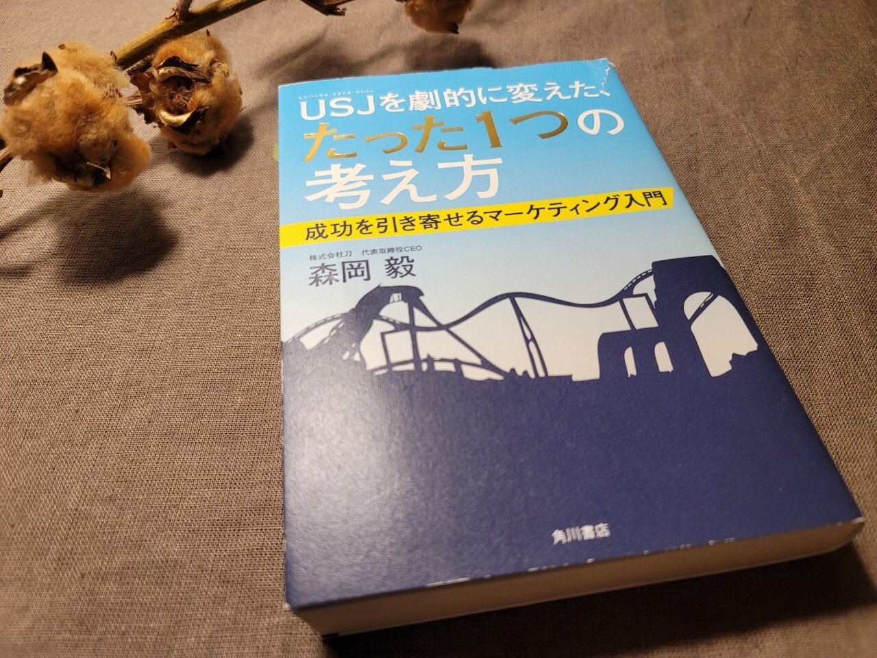 マーケティング初心者おすすめ Usjを劇的に変えた たった１つの考え方 を読んで 今から実践できること7選 Rinka 編集者 Note