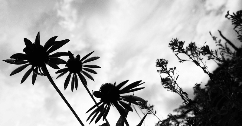 映画の旅 ジョーカー 2 たけうちひろし note