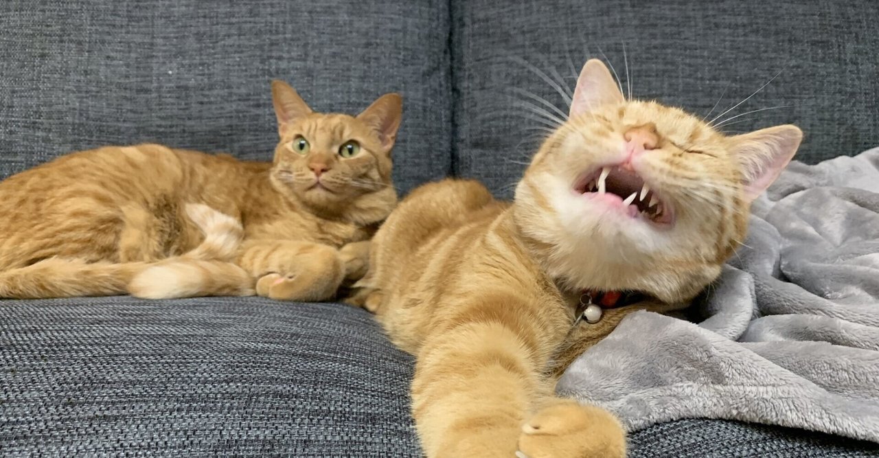 伊藤和夫『新英文解釈体系』について