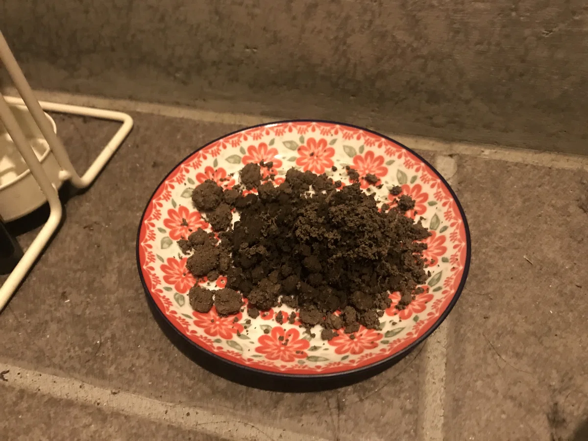画像19