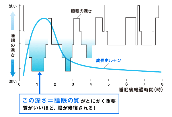 ⑤睡眠の質グラフ 1
