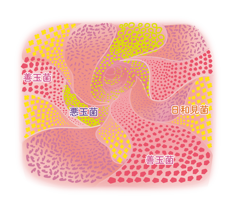 腸は第二の脳 お花畑は脳内ではなく腸内で 内臓疲労回復講座vol 4 クロスメディア パブリッシング Note 腸は第二の脳 お花畑は脳内ではなく腸内で 内臓疲労回復講座vol 4 クロスメディア パブリッシング Note