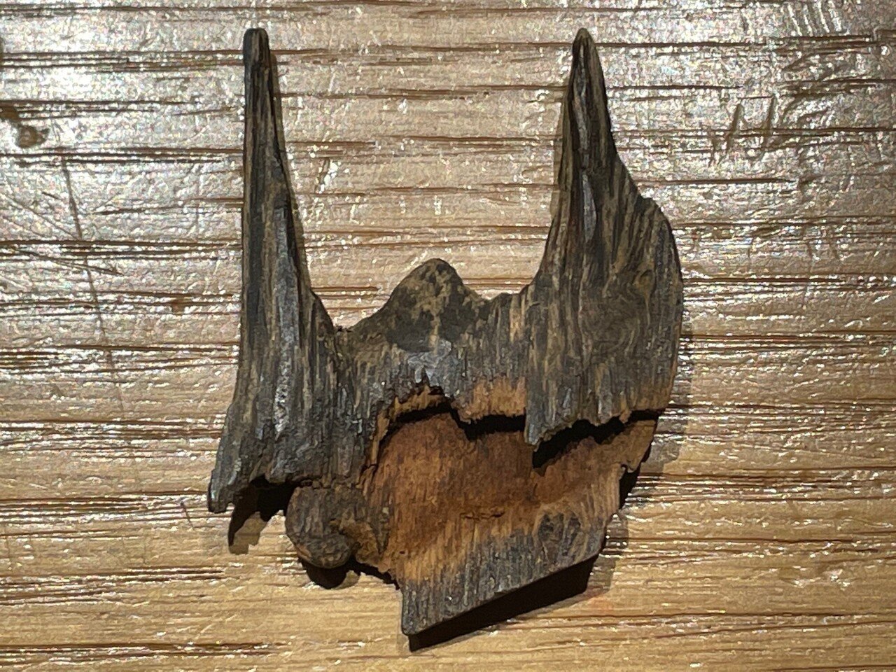 2月の推奨香木：徳用版シリーズNo.5「最上ドロ沈香爪」＝最上質