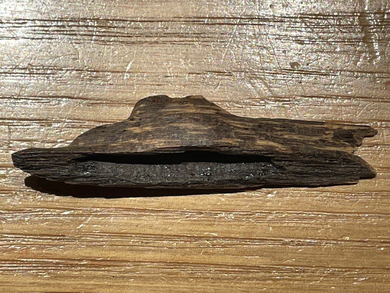 沈香　香木　20g タコサ　東さ7-1014ア㉟ 香木【沈香】-芳月苑