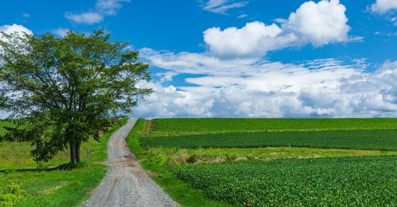 03 マンガ学 一つを極めると昇華する 鬼滅の刃 坂本恭通 やすゆき note