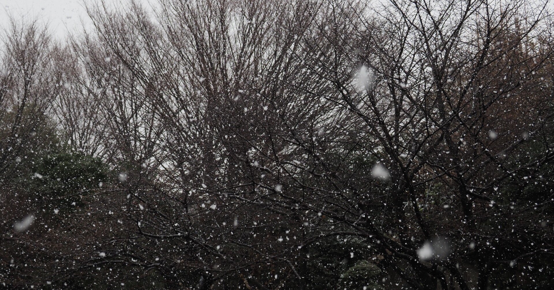 自助 と 自己責任 と 自業自得 安田菜津紀 フォトジャーナリスト