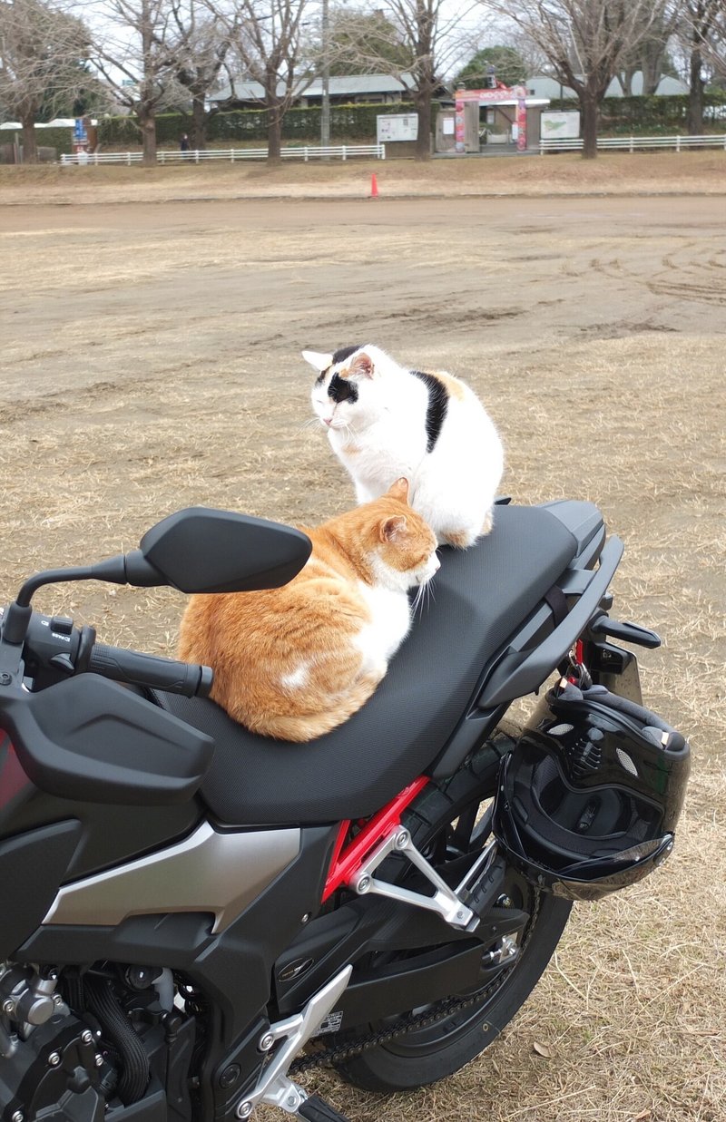 バイクで美術館巡り 佐倉市立美術館 ふえふき Note バイクで美術館巡り 佐倉市立美術館 ふえふき Note