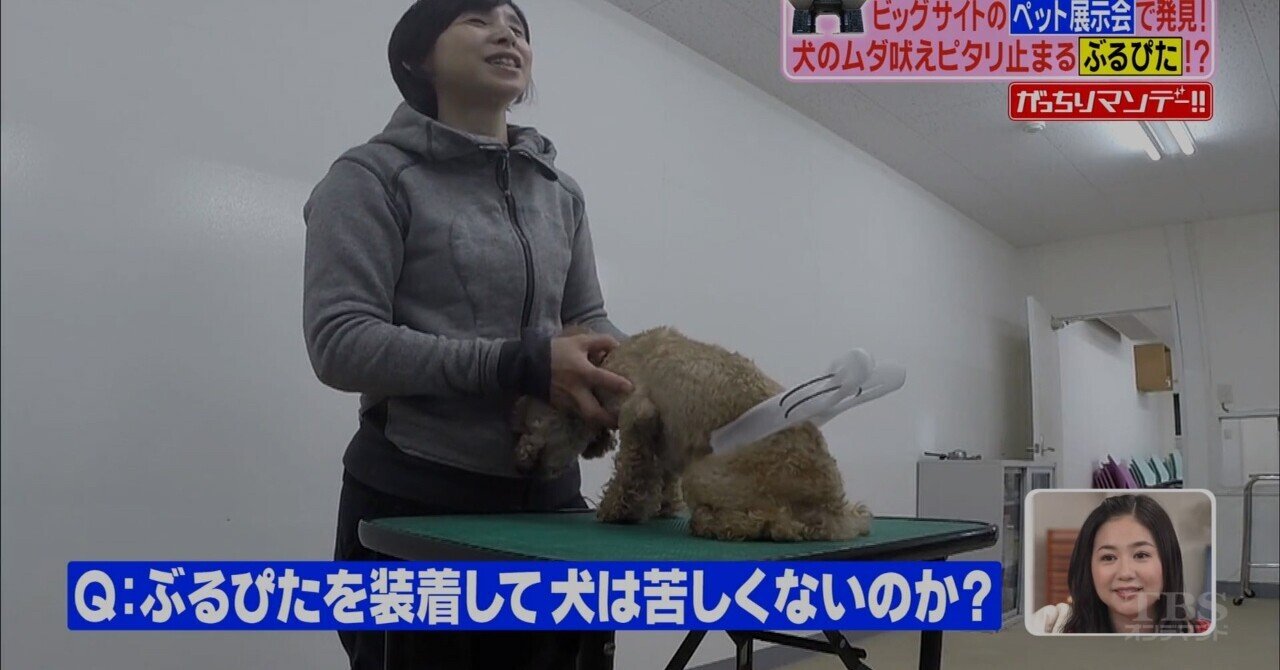 わんわんハウス若松店 で犬虐待死 過去10匹以上死亡と内部告発 激裏情報 あなたの好奇心を満たしましょう note