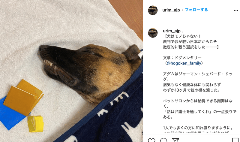 わんわんハウス若松店 で犬虐待死 過去10匹以上死亡と内部告発 激裏情報 あなたの好奇心を満たしましょう Note わんわんハウス若松店 で犬虐待死 過去10匹以上死亡と内部告発 激裏情報 あなたの好奇心を満たしましょう Note