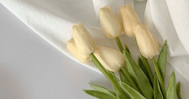 卒業証明書の翻訳 韓国留学 Po Ilsang Note