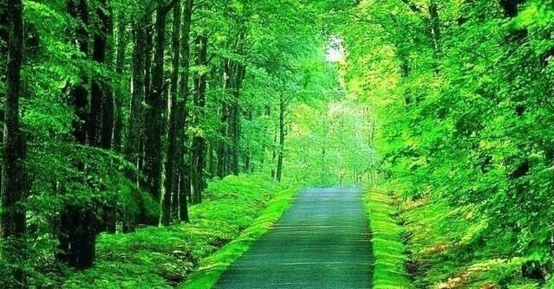 人生の目的の見つけ方と Dreamscope の使い方 すえ Note