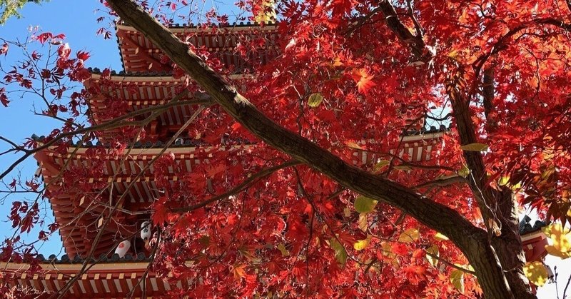 いざ鎌倉にさよなら感想 もちごろ Note