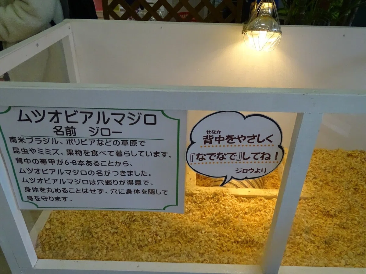 画像8
