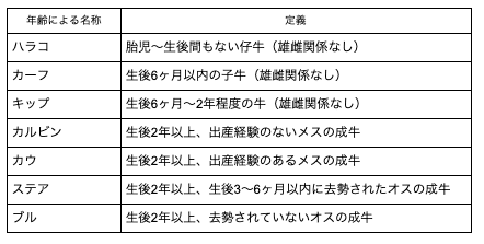 スクリーンショット 2021-01-28 21.33.41