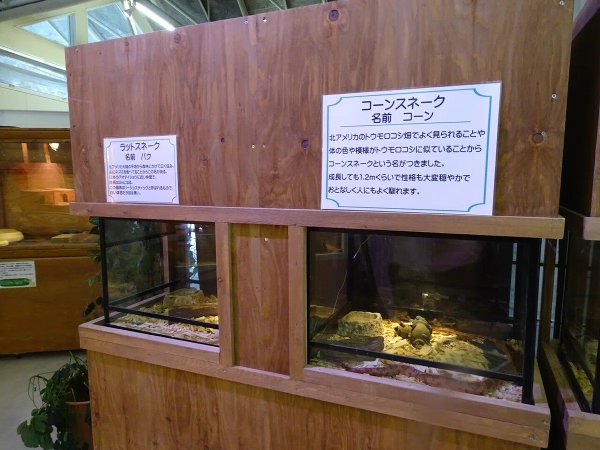 画像12