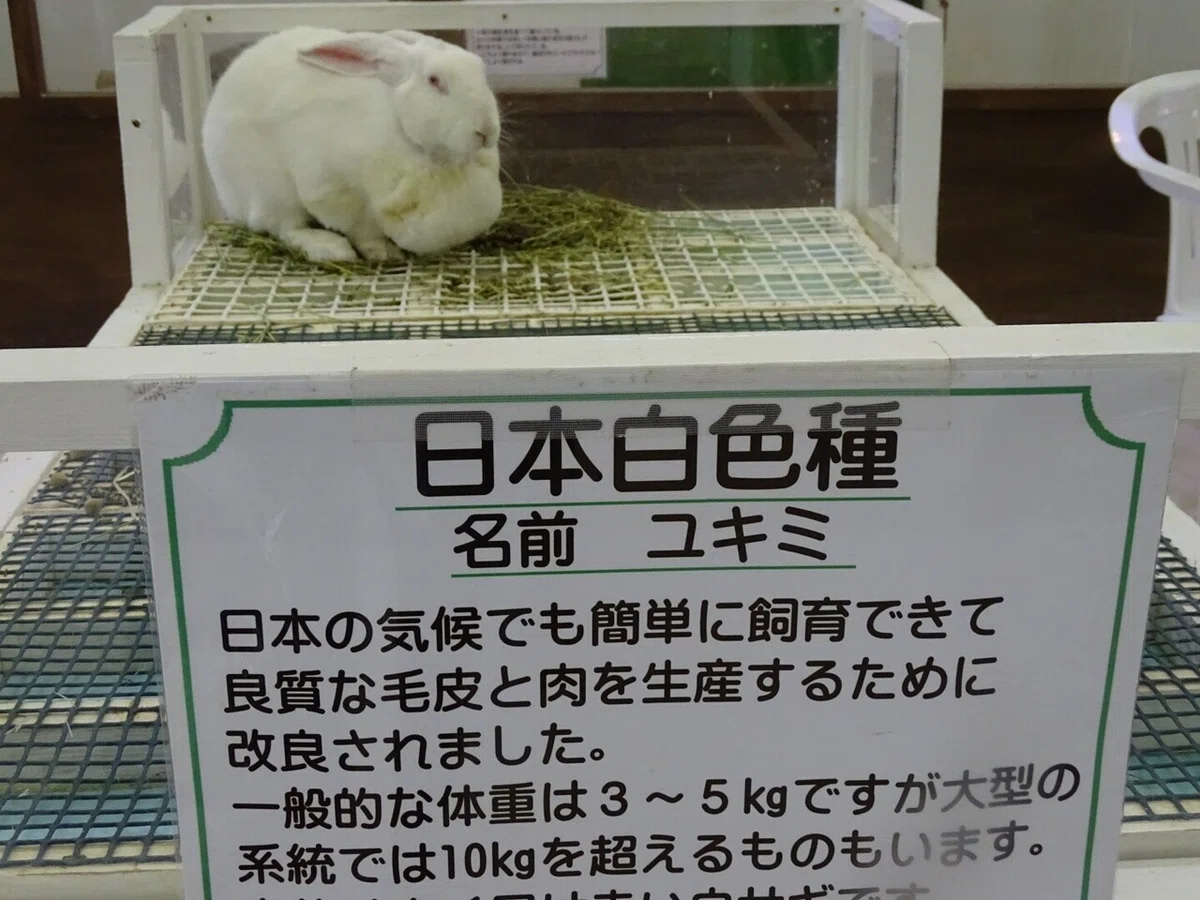 画像16