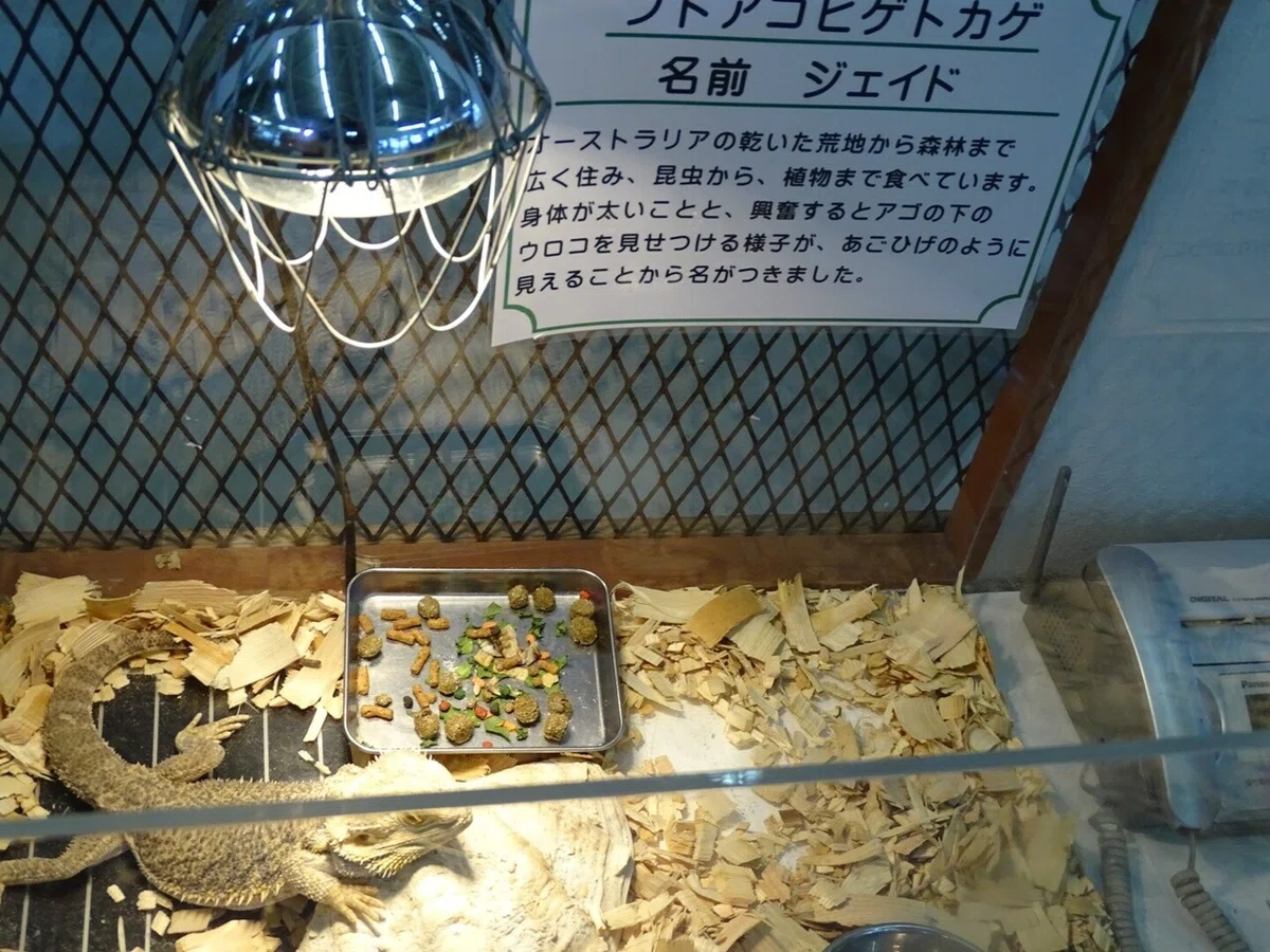 画像18