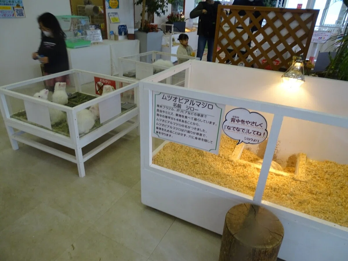 画像42