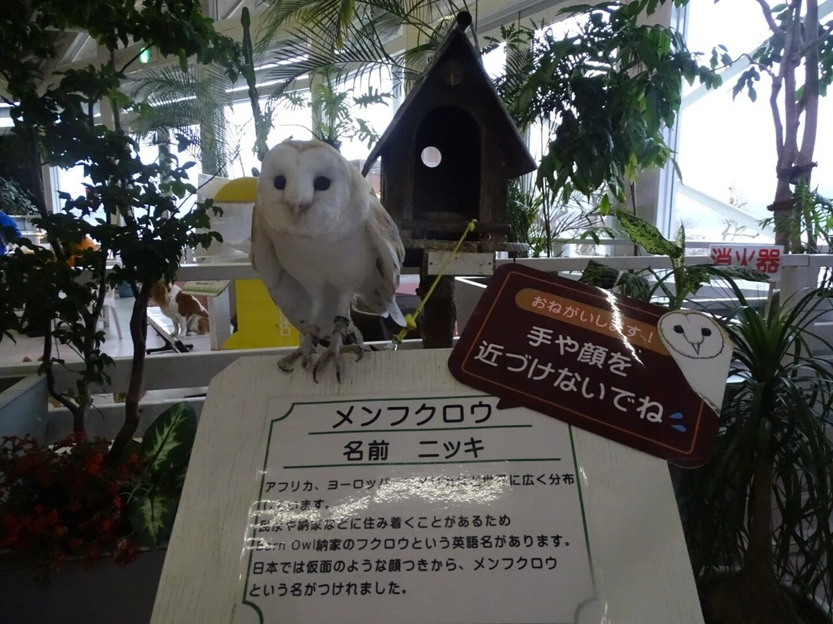 画像45