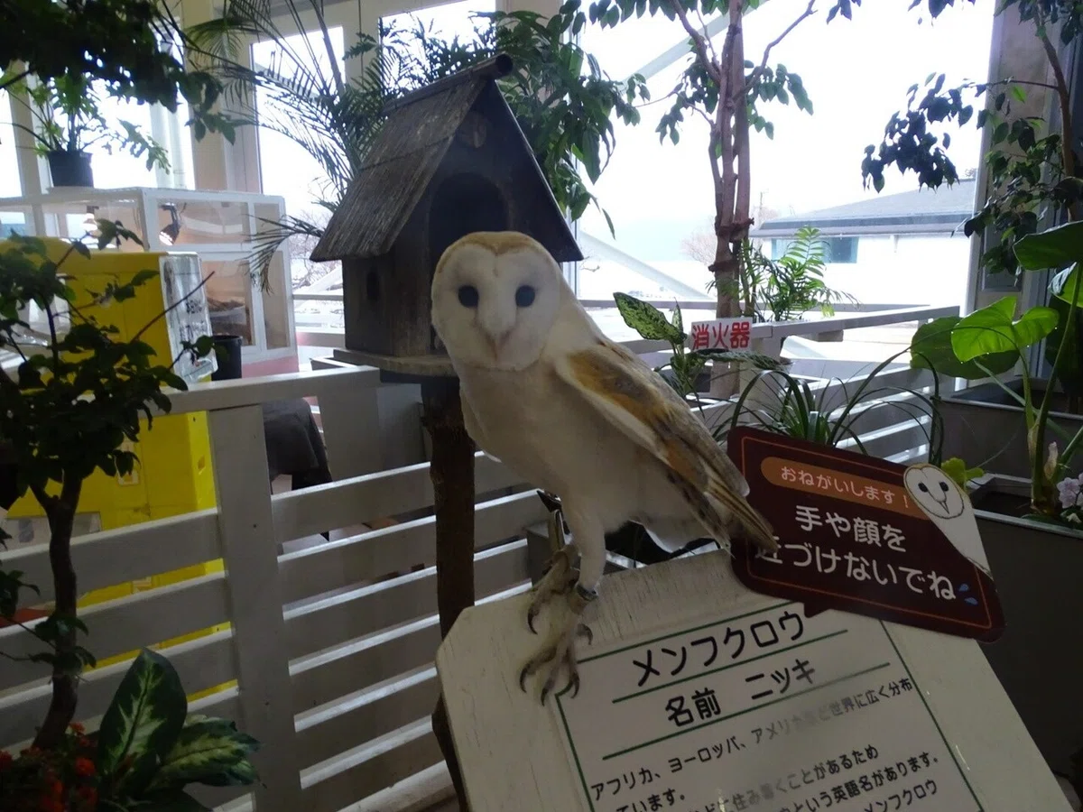画像44
