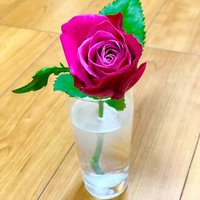 花束みたいな恋をした カップルで見ると別れる 本気レビュー 推しが尊い フォロバします Note