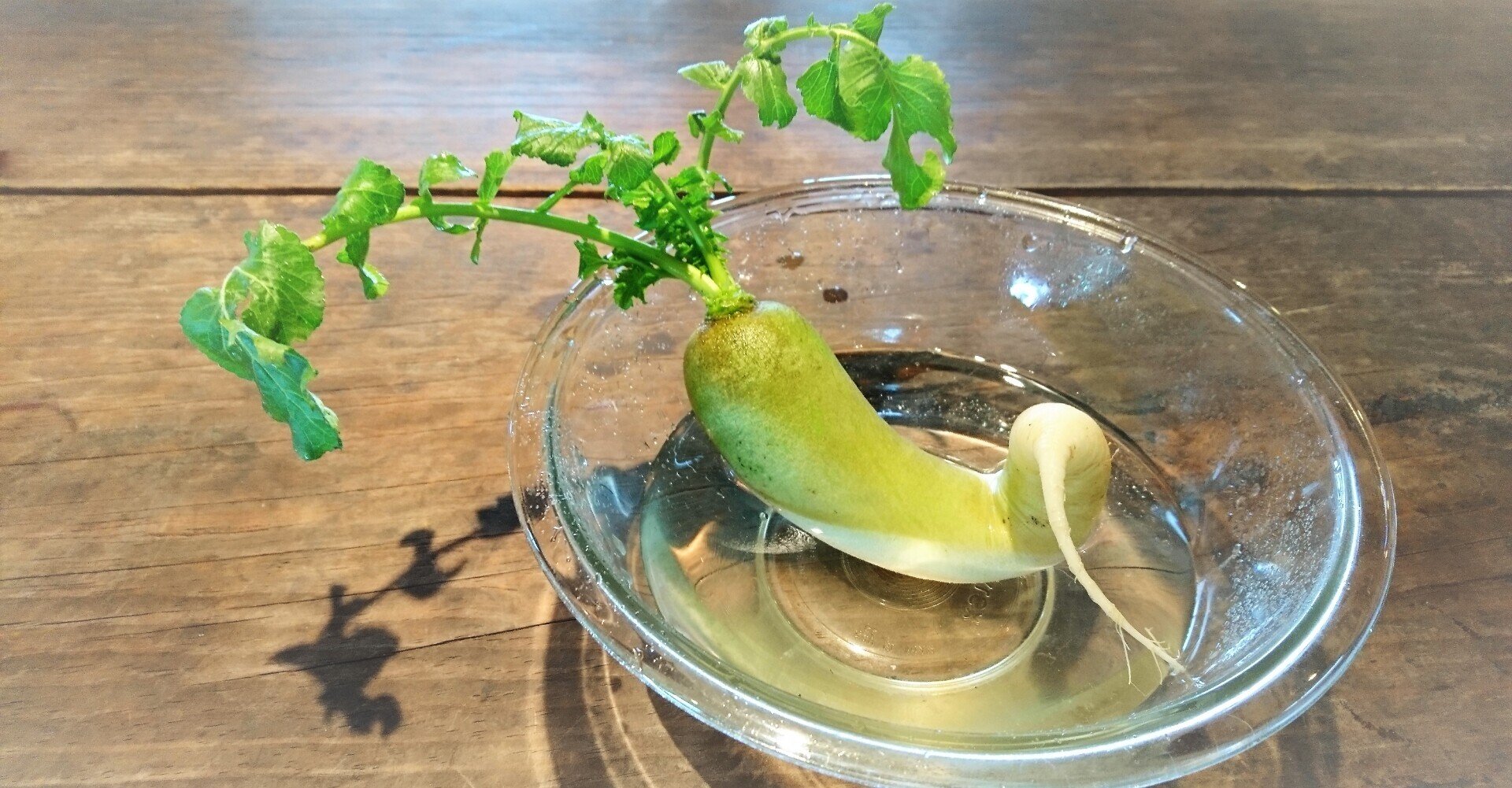 野菜アートvol 8 いい湯だな 三浦雅之 みうら まさゆき Note 野菜アートvol 8 いい湯だな 三浦雅之 みうら まさゆき Note