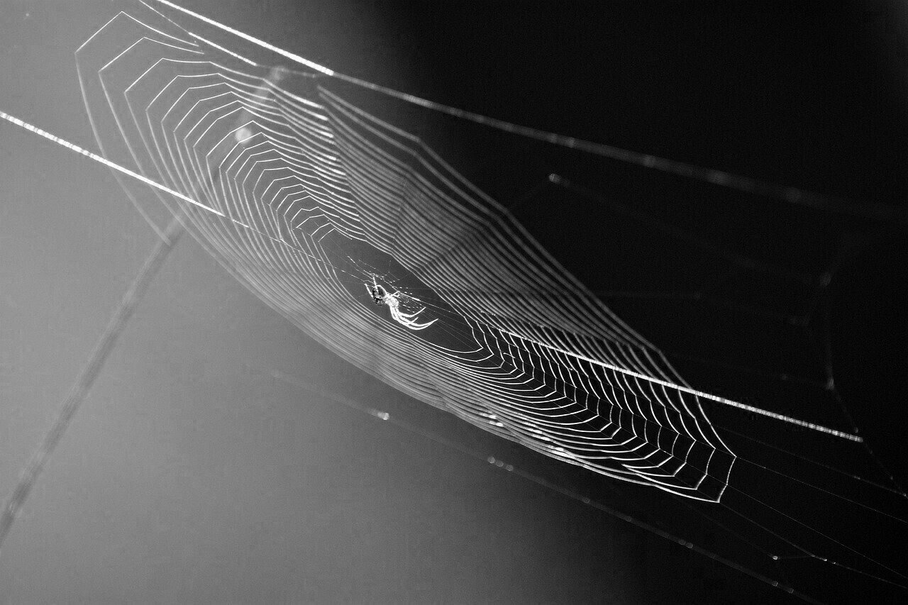 漫画 キングダム に学ぶ 荒野を駆ける者たちの分類 医学と文学の書屋 灯り Note 漫画 キングダム に学ぶ 荒野を駆ける者たちの分類 医学と文学の書屋 灯り Note