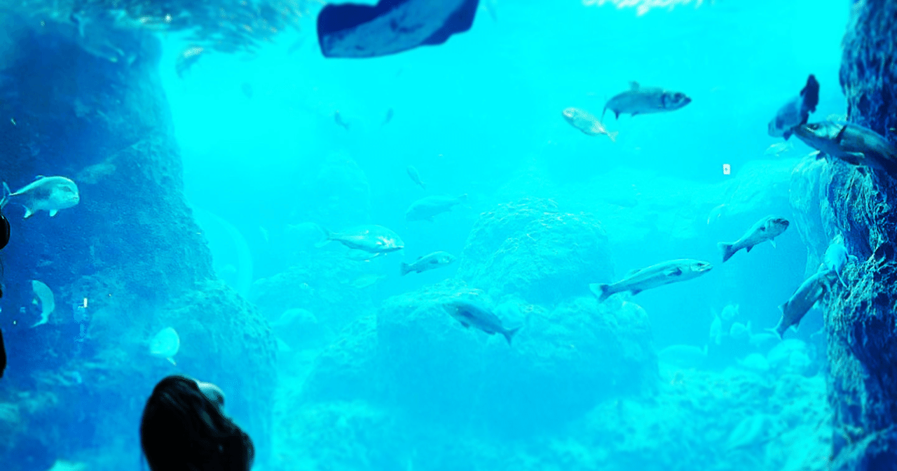 Under The Sea アカペラ楽譜 りょう Note Under The Sea アカペラ楽譜 りょう Note