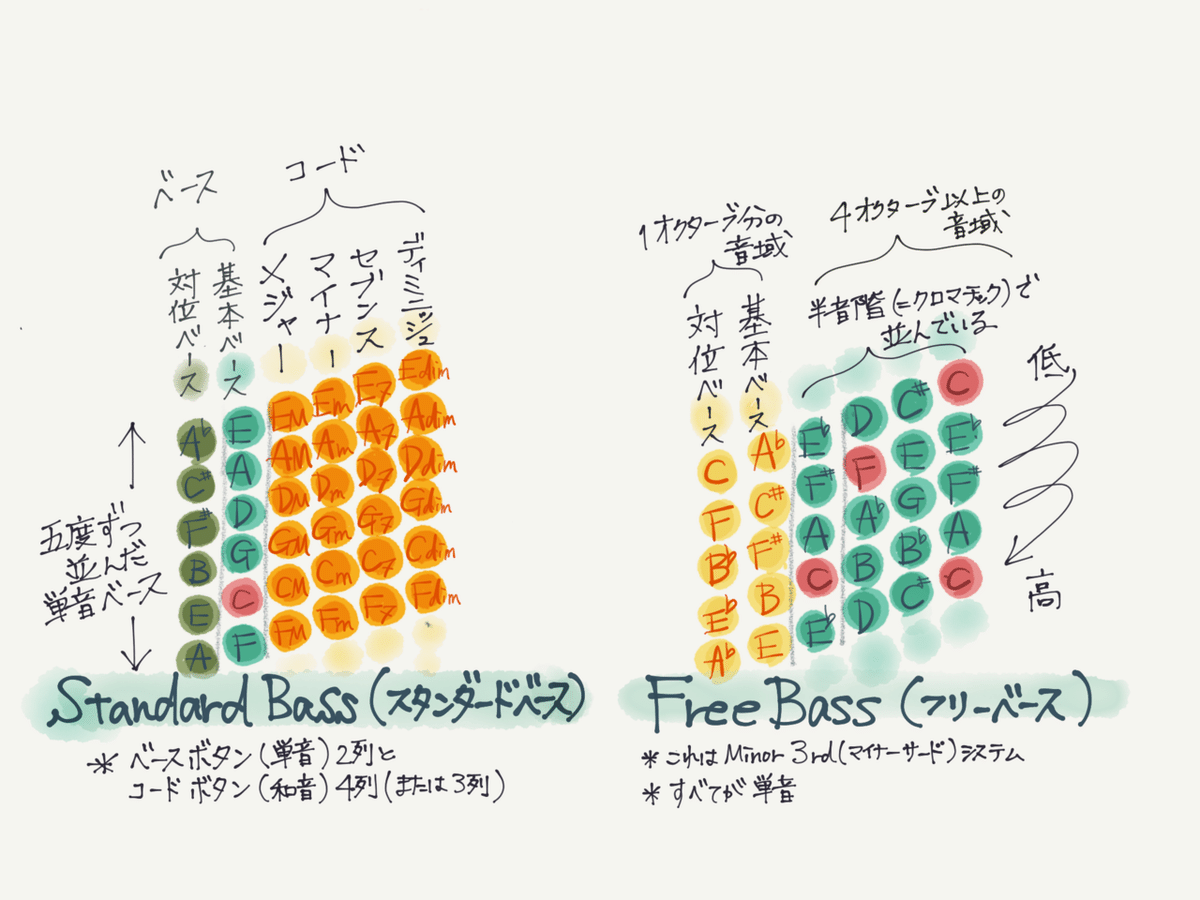 フリーべースとは何か？｜アコーディオン横丁