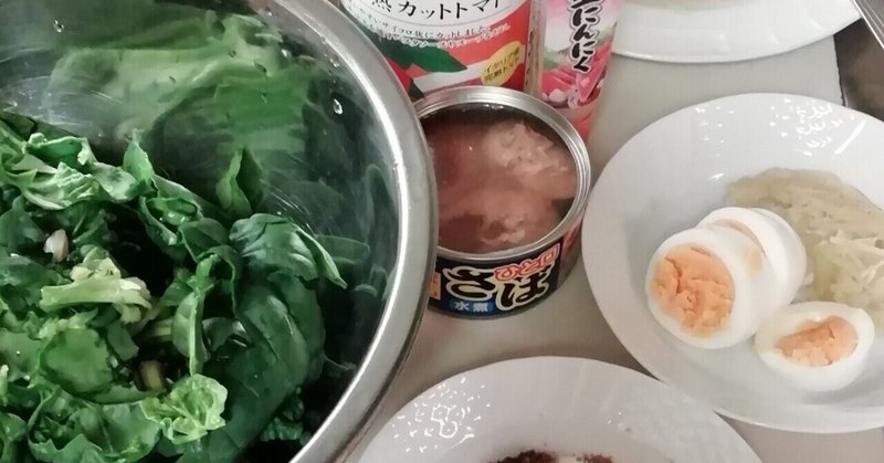 今日のおうちスパイスカレー 鯖缶 ちぢみほうれんそう 木綿豆腐 ゆで卵 まゆみトラベルラボ Note 今日のおうちスパイスカレー 鯖缶 ちぢみほうれんそう 木綿豆腐 ゆで卵 まゆみトラベルラボ Note
