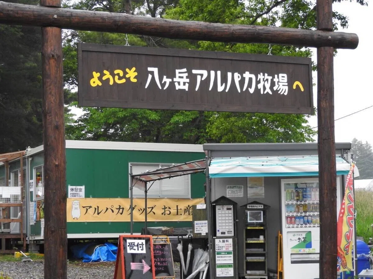 画像1