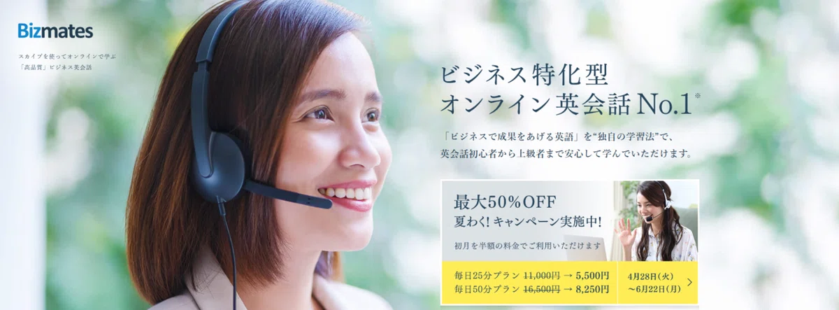 Bizmatesとは