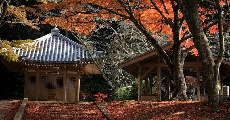 コンプリート 良寛 の 言葉 良寛 戒め の 言葉 コンプリート 良寛 の 言葉 良寛 戒め の 言葉