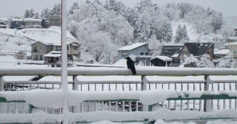 【捨てたもんじゃない？】まだ現代には助け合いの精神があるって話　雪編