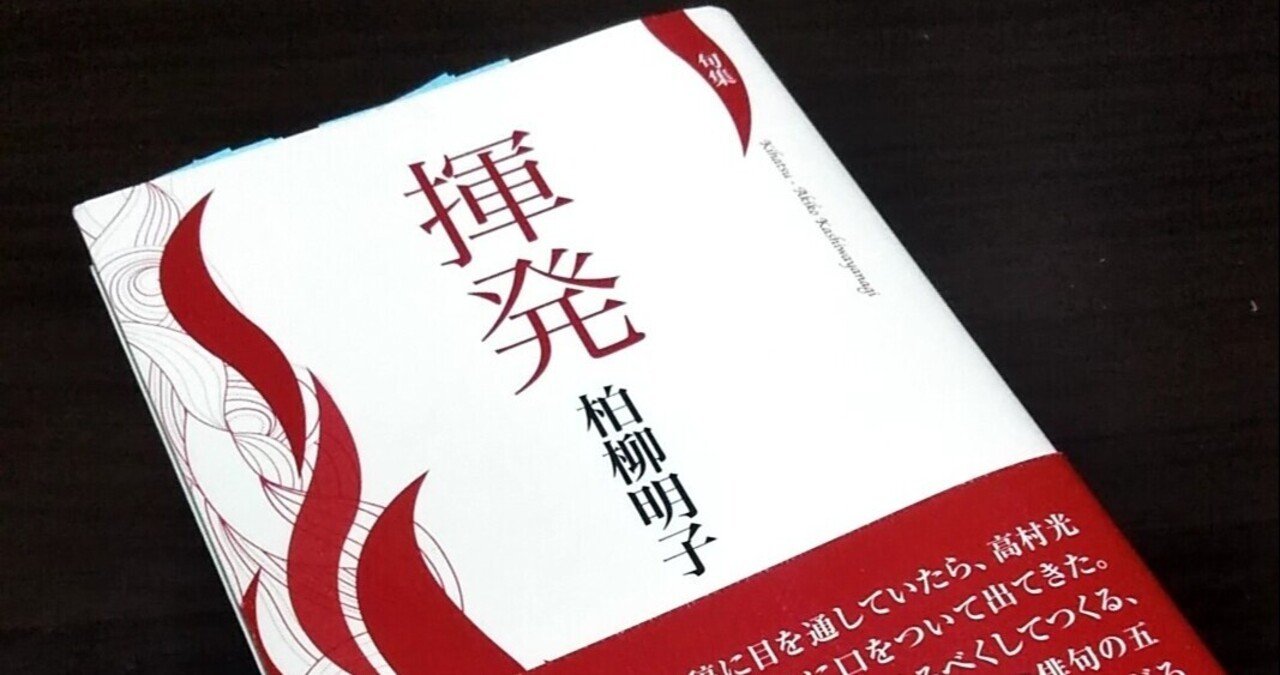 あの頃の俳句 2 句集 揮発 柏柳明子 15 あんこ Akiko Kashiwayanagi Note あの頃の俳句 2 句集 揮発 柏柳明子 15 あんこ Akiko Kashiwayanagi Note