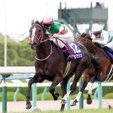 ゼットの競馬＆競艇予想チャンネル