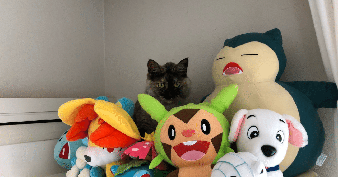 保護猫15匹の義理実家 ペットはペットショップで買わない ちー 主婦ブロガー Note