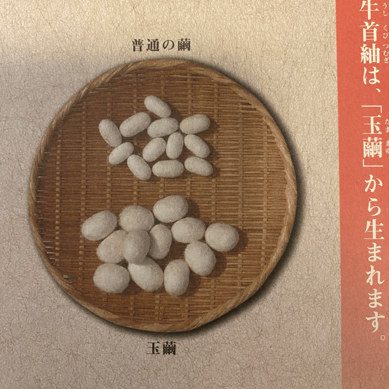 伝統的工芸品 牛首紬③｜伝統工芸の箱推し つたえ手Saori