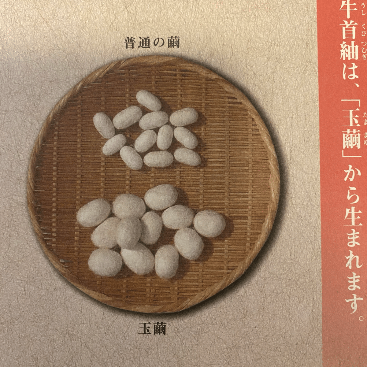 伝統的工芸品 牛首紬③｜伝統工芸の箱推し@つたえ手