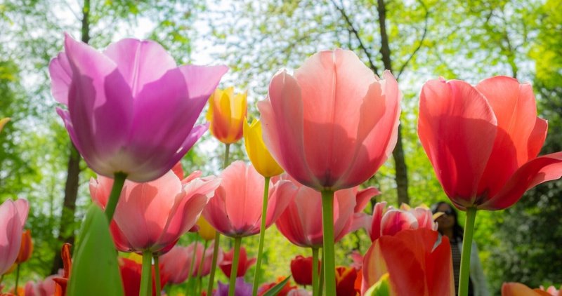 鬱 という漢字は書けなかった としあき Note