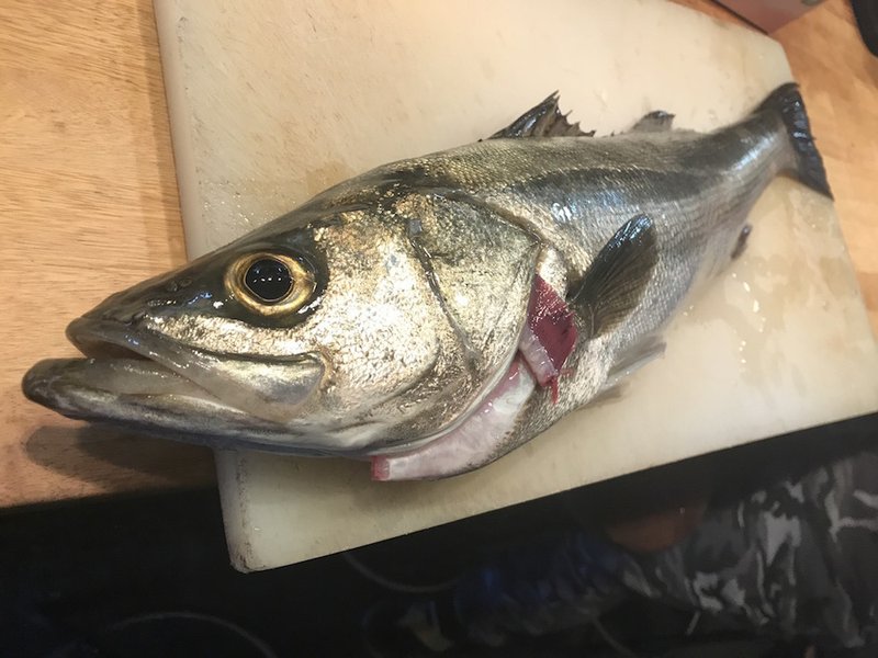 釣りをしていて考えたこと2 佐藤秀峰 Note 釣りをしていて考えたこと2 佐藤秀峰 Note