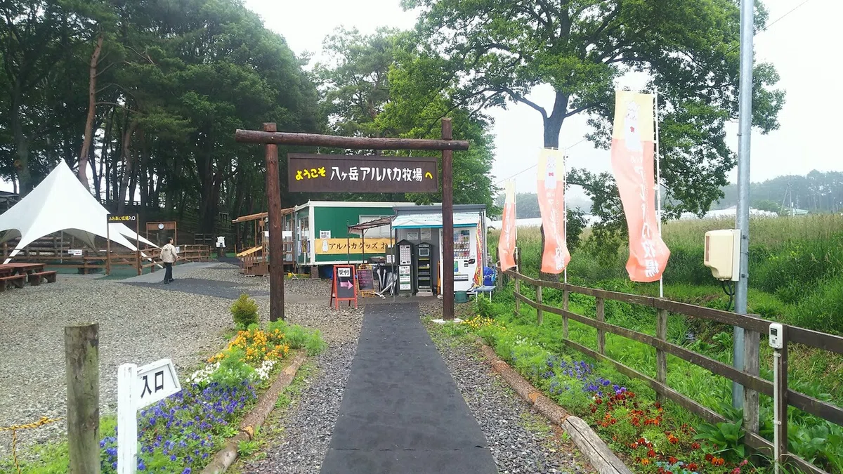 画像4