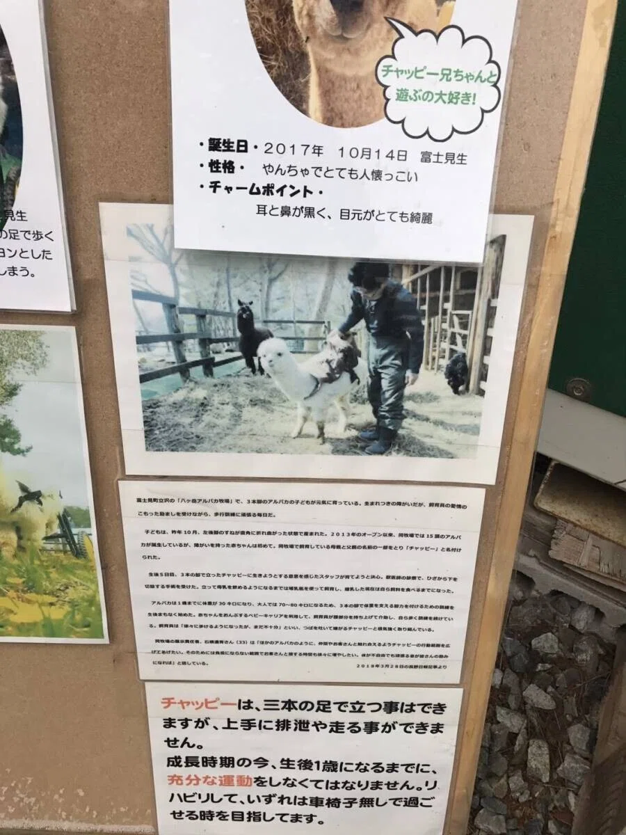 画像7