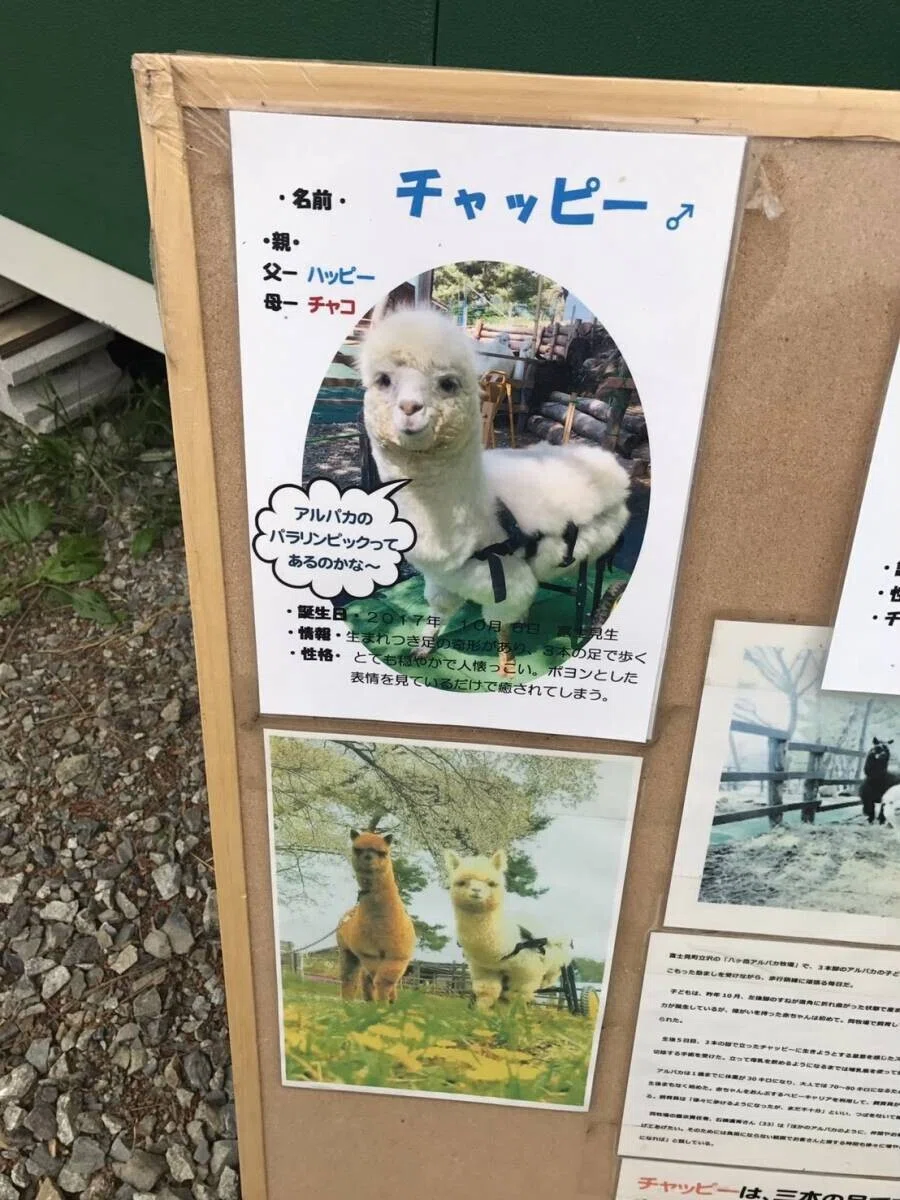画像6