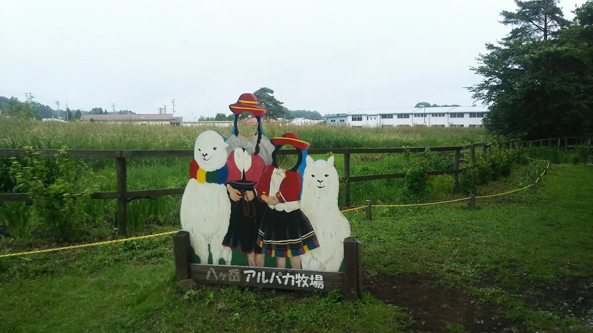 画像15