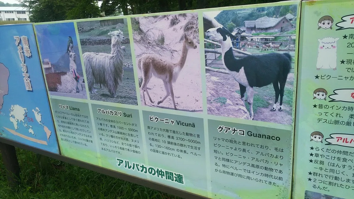 画像18