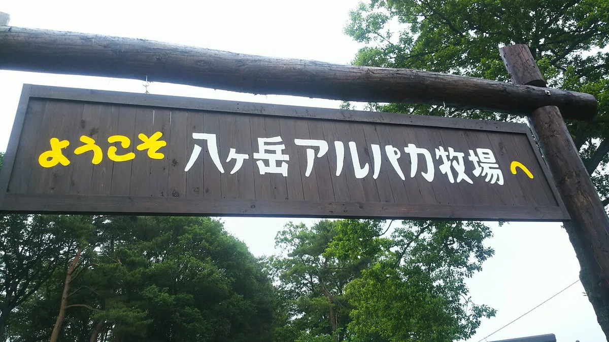 画像23